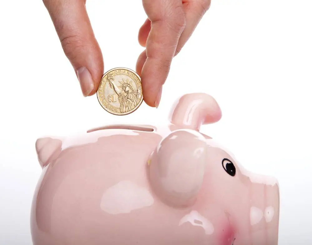 A person putting money in a piggy bank